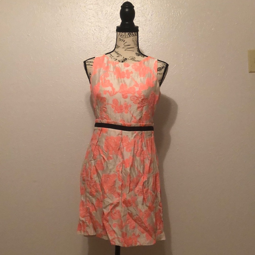 Pretty Pink Loft Dress